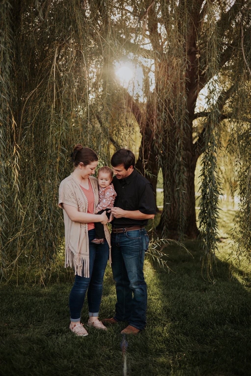 Parents cuddling their child beneath sunlit willow branches