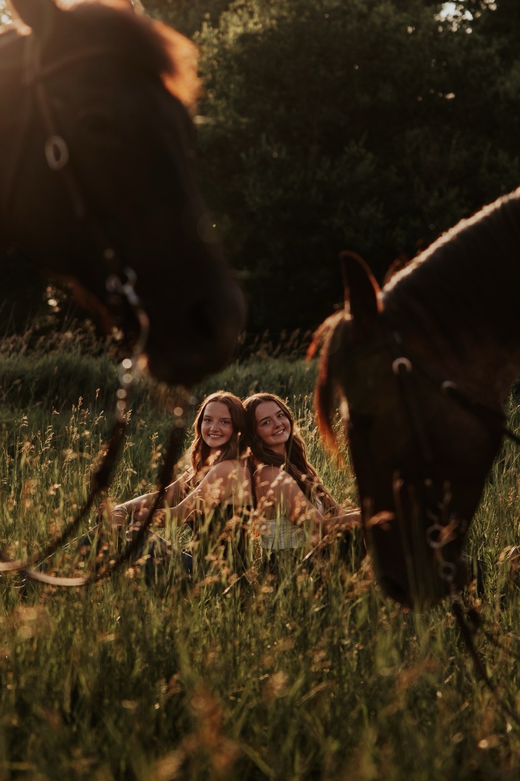 Senior portrait framed by horses in golden light
